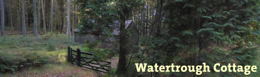 watertrough56